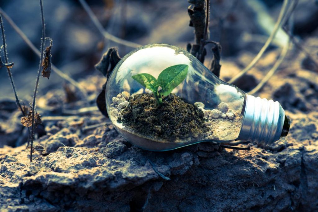Energy Efficient Lighting